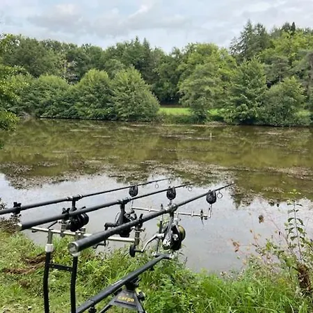 Du Coucou キャンプ場 *